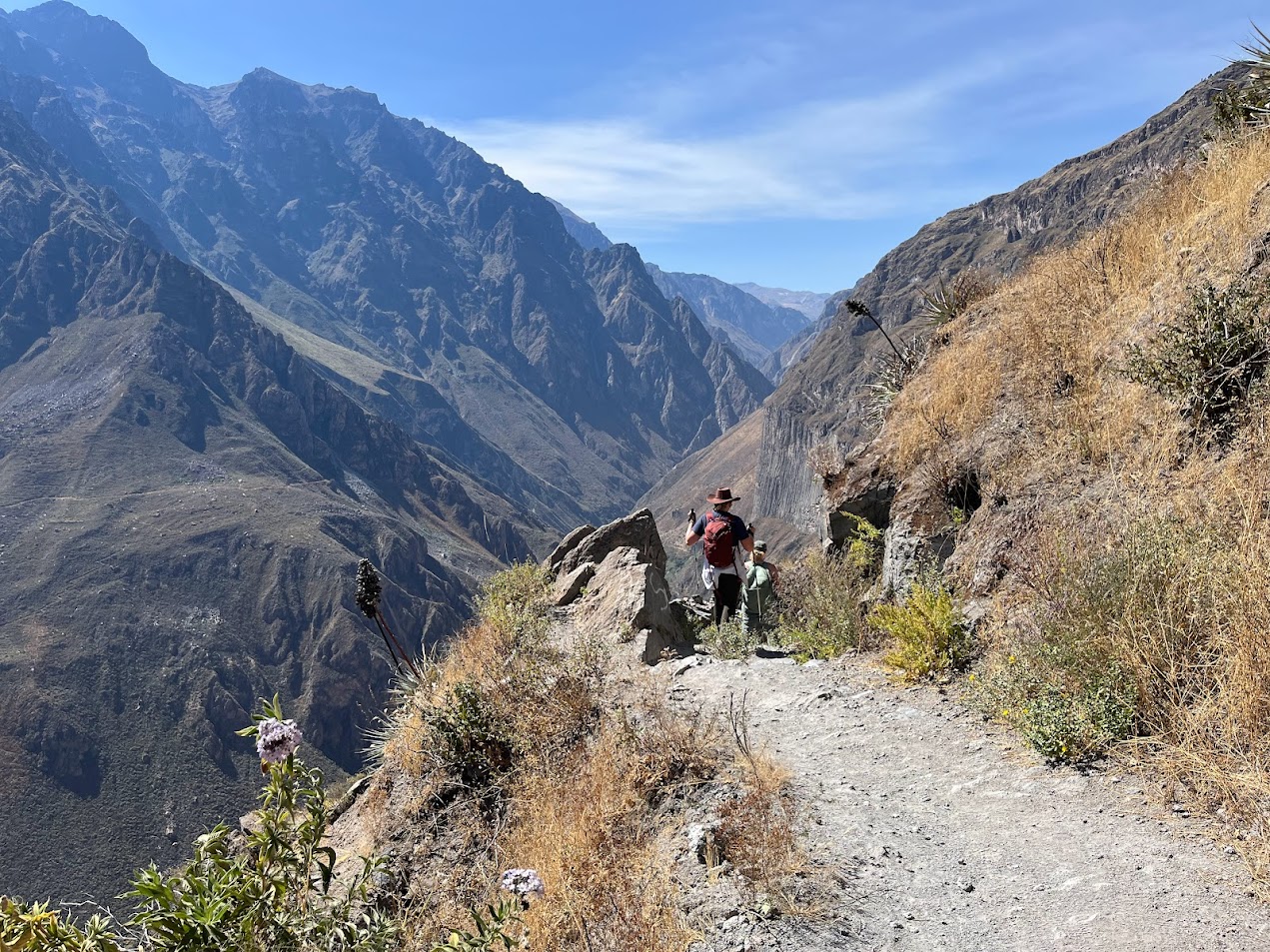 Hiking Colca Canyon: Peru’s Hidden-Gem Trek